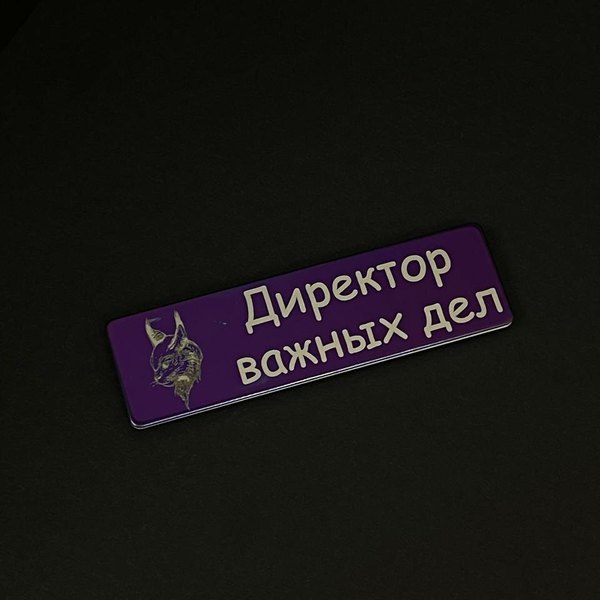 Именной бейдж на двухслойном пластике
